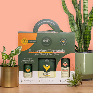 Houseplant Care Taster Kit - Holt x Palm -  Want your plants to thrive without the guesswork? Our 3 Essentials give you the A-B-C of plant care; fast growth, healthy leaves, and strong, resilient roots. Suitable for 5 plants for 2 months RRP PPU: $24.99 UPC: 860009072855