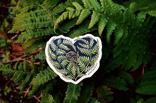 Fern Heart Sticker - Holt x Palm -  Our stickers are bumper sticker quality, die-cut printed, and perfect for indoor or outdoor use. They measure between 2.5"x3". Illustrated in Lafayette, LA USA. This sticker has a matte finish.