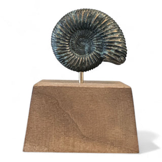 Blue Fossil Sculpture - Holt x Palm -  Indulge in the allure of this Chad La Fever blue bronze sculpture, hand-mounted on locally sourced wood. With its captivating blue hue and intricate details, it adds a touch of sophistication to any space. Elevate your art collection and style with this exclusive, one-of-a-kind piece.