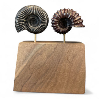 Double Fossil Sculpture - Holt x Palm -  This stunning Double Fossil Sculpture features two fossil bronze sculptures by renowned artist Chad La Fever, beautifully mounted on locally sourced wood. With its unique and intricate design, this sculpture is sure to add a touch of elegance and history to any space.