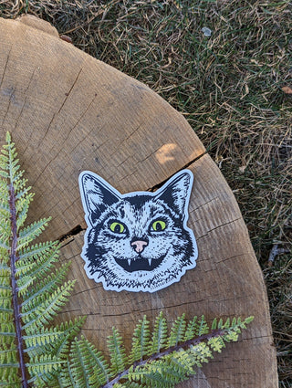 Sticker | cat face - Holt x Palm -  a smiling cat face sticker illustrated by ilikesara / Sara Schalliol-Hodge -measures 3.25" x 3.5" -printed on waterproof, UV-resistant vinyl -stick on your car, computer, water bottle, etc