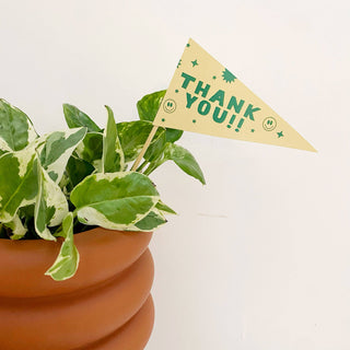 Thank you pennant flag - Holt x Palm -  Add a cute paper thank you pennant flag to your next plant gift. Each flag is the perfect size for planters up to 8 inches. 2 color options. On a wood stick card stock paper *Handmade. Please note there may be very SLIGHT imperfections . Thanks for supporting handmade. :)