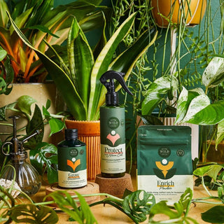 Houseplant Care Taster Kit - Holt x Palm -  Want your plants to thrive without the guesswork? Our 3 Essentials give you the A-B-C of plant care; fast growth, healthy leaves, and strong, resilient roots. Suitable for 5 plants for 2 months RRP PPU: $24.99 UPC: 860009072855