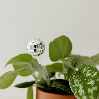 Disco ball plant stick - Holt x Palm -  Give your plants a little flair !!! Disco ball plant stick Acrylic stick with mirror ball * Please note each disco ball is unique due to size and may show some white areas do to the roundness and small mirrors.