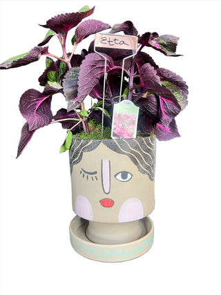 Meet Etta! - Holt x Palm -  Meet Etta! This winking face pot comes with a vibrant purple hued perilla plant. Perfect for local pickup only, this quirky and playful addition to your home will make you smile every time you see it. (Note: Pickup only, no shipping available.)