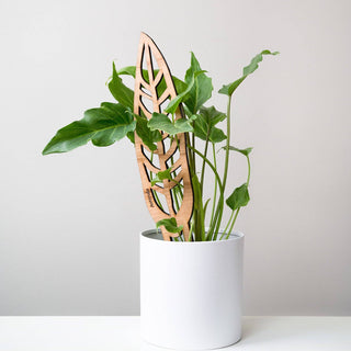 Anthrulla - Plant trellis inspired by the Queen Anthurium - Holt x Palm -  Say goodbye to ugly moss poles, bamboo stakes or wire hangers. Use these functional indoor plant trellis for your potted babies. This product is intended for INDOOR USE only. This trellis is inspired by the Queen Anthurium. Each trellis is one of a kind with a unique grain structure that is sure to be a statement piece at your home. Available in two Sizes: Small - 12" Large - 24"