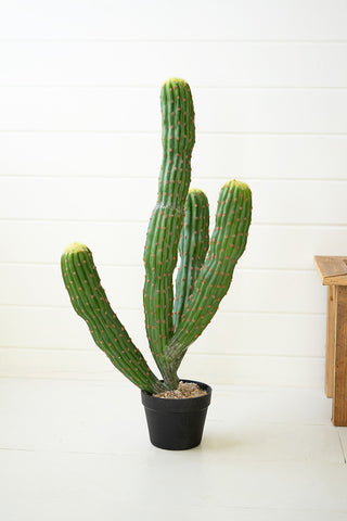 Multi Trunk Cactus - Holt x Palm -  Introducing the Multi Trunk Cactus: a fun faux plant with multiple trunks and a fresh-from-the-desert look. You don't need a green thumb to enjoy this prickly piece of decor, but you'll get all the compliments!