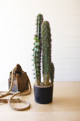 5 Stem Cactus in a Black Pot - Holt x Palm -  Introducing the 5 stem cactus in a black pot, for those who want to add a little spice to their life! This faux cactus may not require water, but it€™ll sure bring the heat with its stylish blend of cacti chic and modern, black pot vibes. So go ahead, put your own spin on life and get your hands on one of these bad boys today!