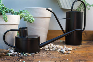 Fletch Watering Can - Holt x Palm -  The Fletch Watering Can comes in black galvanized steel with elegant lines and a dramatic spout. Perfect for decorative or utilitarian use in the garden or your next floral design. Tall: 14.25" x 5" x 12.75" Short: 17.5" x 5" x 5.75"