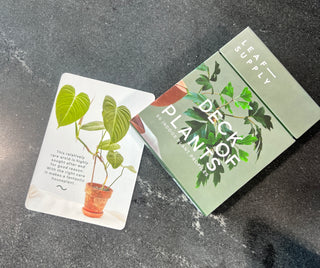 LEAF SUPPLY DECK OF PLANTS - Holt x Palm -  This is the definitive deck for anyone obsessed with house plants.Staring at plants in the nursery but don't know what to pick? Need some quick help reviving your favorite fern? Maybe you want to impress your other plant-loving (read: have no more flat surfaces) friends with your trivia? This deck of cards has everything you need to keep your plants thriving and become an expert on different varieties.