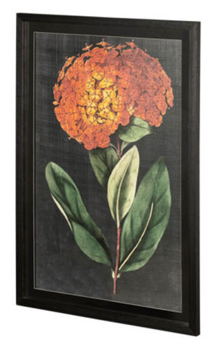 Black Wildflower Framed Artwork - Holt x Palm -  Add a touch of moody wildness to your interior with this beautifully framed black wildflower artwork! Offering a truly unique aesthetic, it's the perfect piece to take your home decor to the next level. Get ready to wow - there's no other art like it! Artist Curtis Product Size (Inches) 43.0L x 1.5W x 63.0H