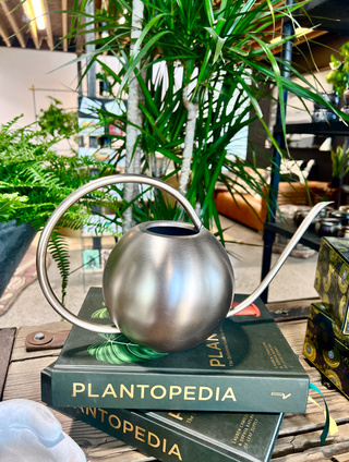 Rose Gold Minto Watering Can - Holt x Palm -  Introducing the newest way to water your garden - with luxury! The Rose Gold Minto Watering Can is a no-fuss way to show your plants some love. It's the perfect blend of functionality and fancy, sure to make all your gardening dreams come true! (Plus, it looks great in any green-thumb's Instagram pics!) Dimensions: 15" W x 7" L x 8" H Color: Gold Care instructions: Do not soak. Wipe with a damp cloth to preserve unique